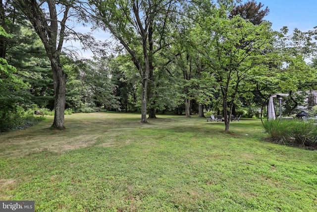 1004 Mercer Rd, Princeton, NJ 08540 - view of green lawn