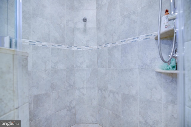 41031 Brook Grove Dr, Aldie, VA 20105 - bathroom view of a tile shower