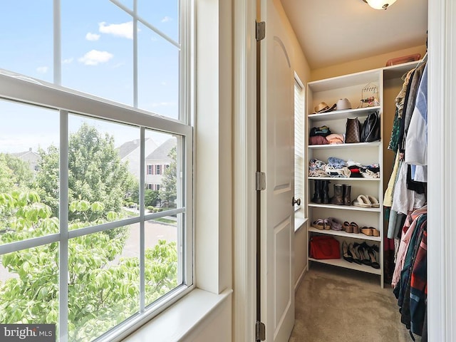 3611 Jacob Stout Rd Unit 5, Doylestown, PA 18902 - spacious closet with carpet floors