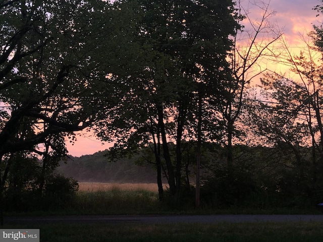 297 Killian Rd, Honey Brook, PA 19344 - view of local wilderness