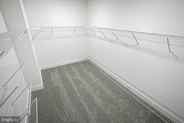 2741 Primrose Ln N, York, PA 17404 - spacious closet with dark carpet