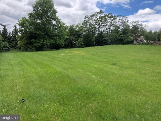 2741 Primrose Ln N, York, PA 17404 - view of grassy yard