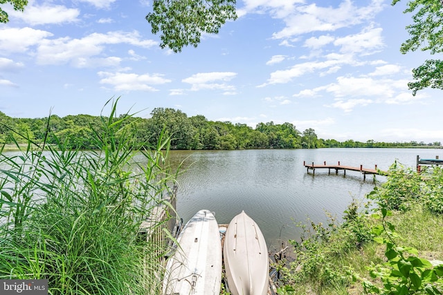 3209 Henson Ave, Annapolis, MD 21403 - dock featuring a water view