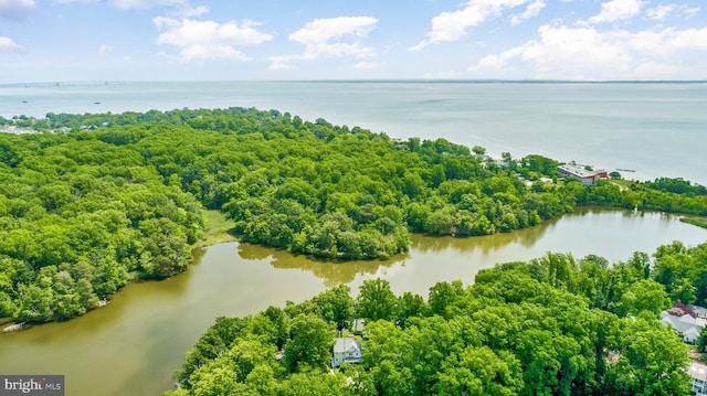 3209 Henson Ave, Annapolis, MD 21403 - drone / aerial view of a large body of water