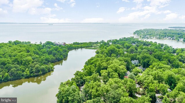 3209 Henson Ave, Annapolis, MD 21403 - drone / aerial view of a nearby body of water