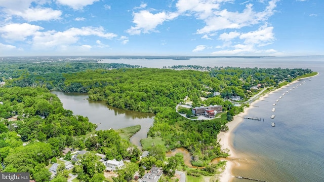 3209 Henson Ave, Annapolis, MD 21403 - drone / aerial view of a large body of water and a forest