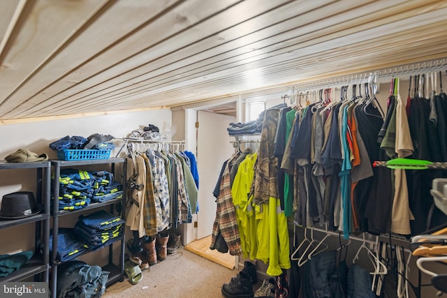 1801 Middle Ridge Rd, Romney, WV 26757 - walk in closet featuring carpet flooring