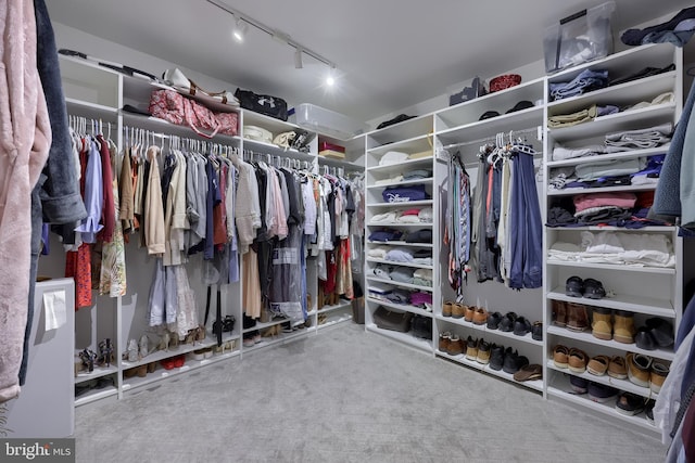 2149 Colleens Way, Lancaster, PA 17601 - spacious closet with carpet flooring