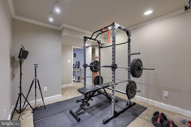 2149 Colleens Way, Lancaster, PA 17601 - exercise room featuring baseboards, crown molding, carpet floors, track lighting, and recessed lighting