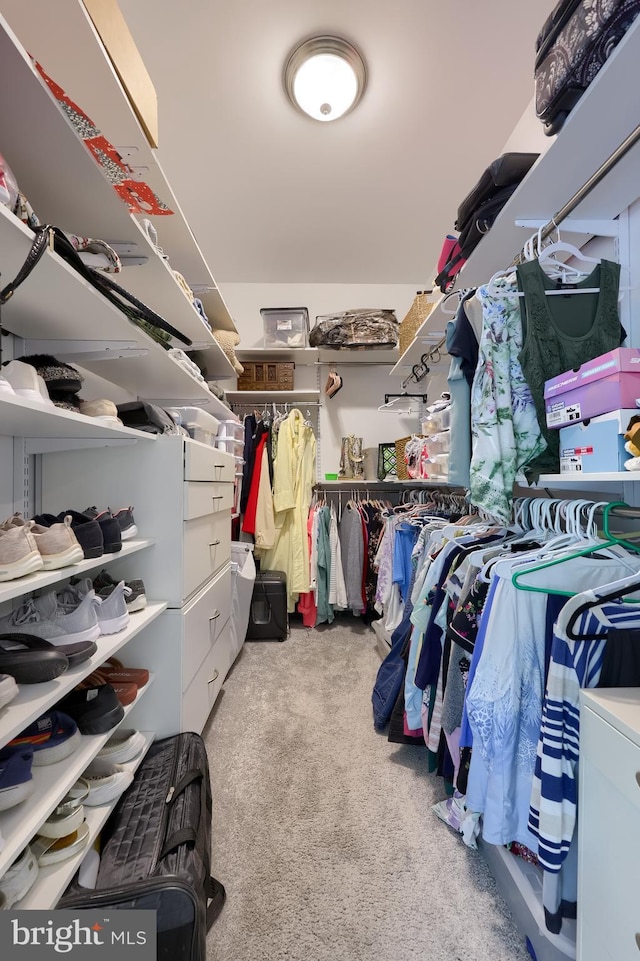 2149 Colleens Way, Lancaster, PA 17601 - walk in closet featuring carpet floors