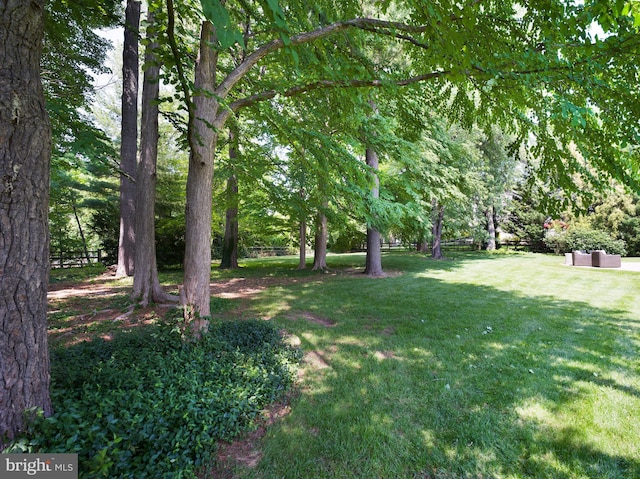 745 Conestoga Rd, Bryn Mawr, PA 19010 - view of grassy yard with an outdoor hangout area