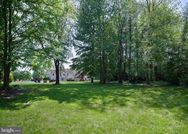 745 Conestoga Rd, Bryn Mawr, PA 19010 - view of grassy yard