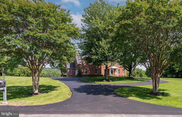 15220 Highview Ct, Waterford, VA 20197 - view of property hidden behind natural elements featuring a front lawn and curved driveway