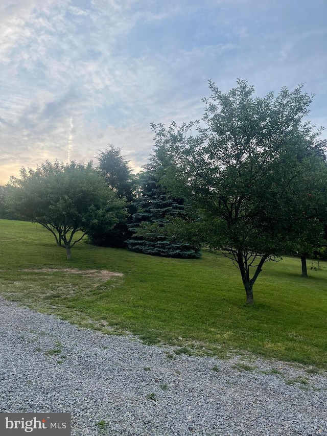 785 Pear Ln, Romney, WV 26757 - view of green lawn