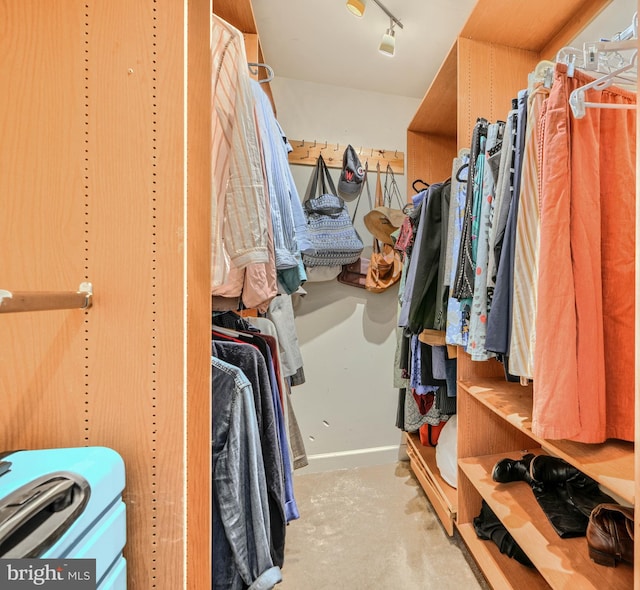 1 Second Tee Ct, Baltimore, MD 21209 - view of spacious closet