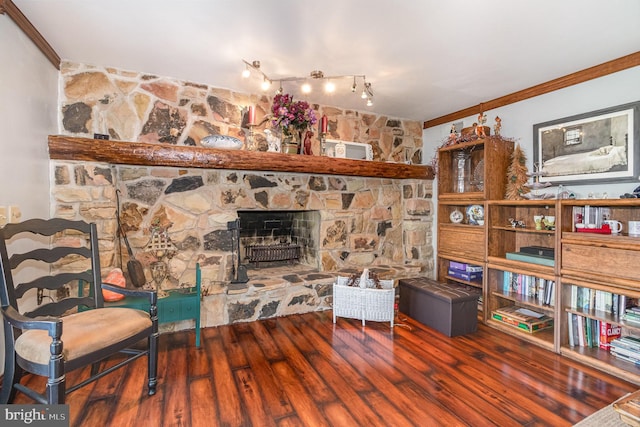 400 Berry Mountain Rd, Millersburg, PA 17061 - living room with ornamental molding, wood finished floors, a stone fireplace, and track lighting