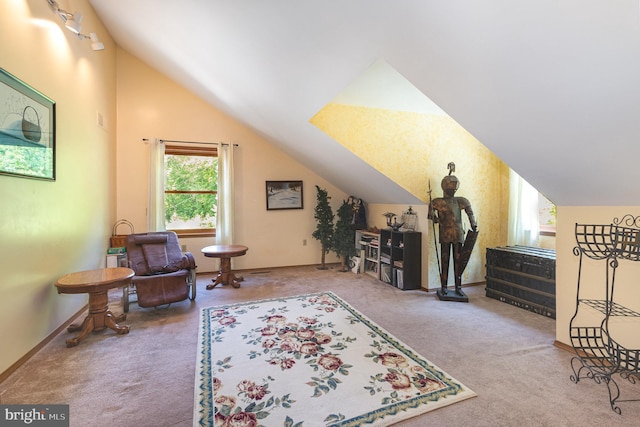 400 Berry Mountain Rd, Millersburg, PA 17061 - living area with carpet flooring, vaulted ceiling, and baseboards