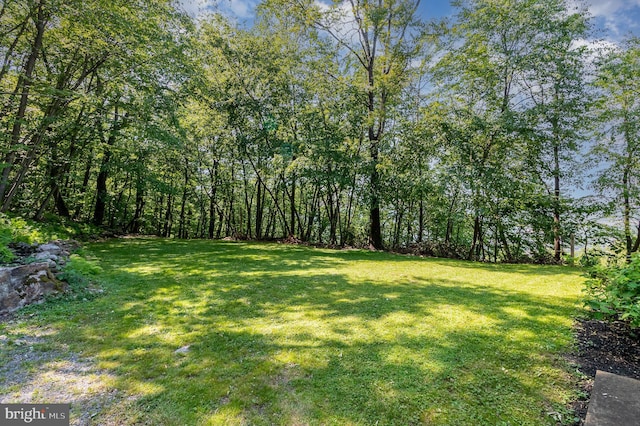400 Berry Mountain Rd, Millersburg, PA 17061 - view of green lawn