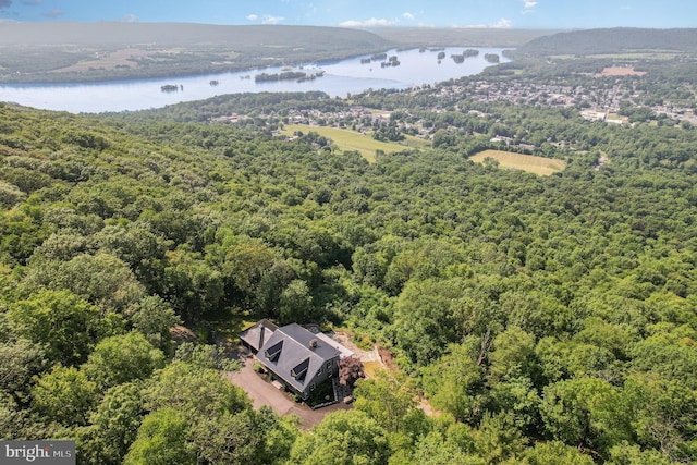 400 Berry Mountain Rd, Millersburg, PA 17061 - drone / aerial view of a large body of water and a forest