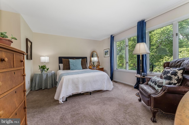303 Knoll Way, Rocky Hill, NJ 08553 - carpeted bedroom featuring baseboards