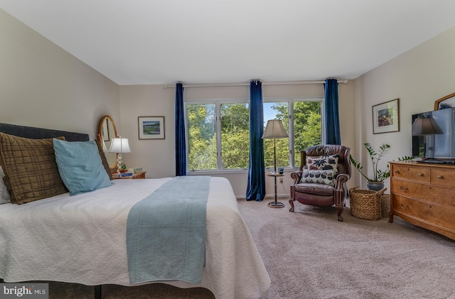 303 Knoll Way, Rocky Hill, NJ 08553 - bedroom featuring carpet
