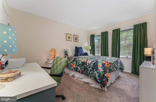 303 Knoll Way, Rocky Hill, NJ 08553 - bedroom featuring light colored carpet