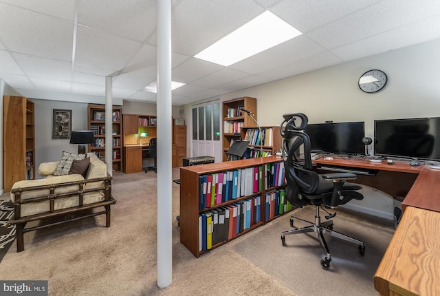 303 Knoll Way, Rocky Hill, NJ 08553 - office space with a paneled ceiling and carpet floors