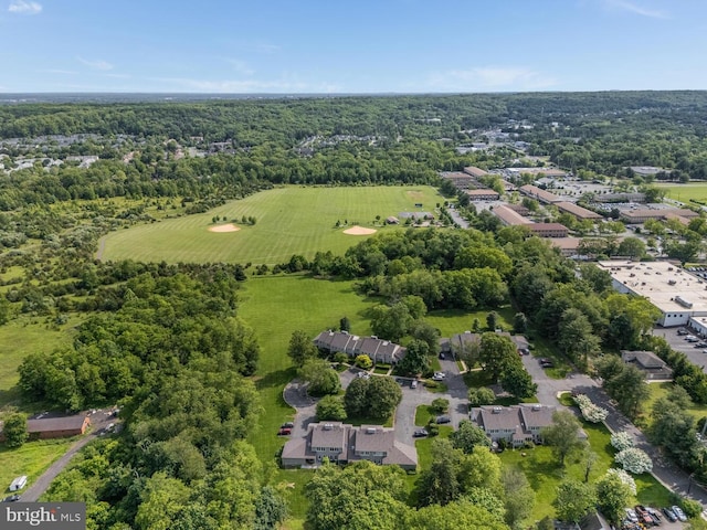 303 Knoll Way, Rocky Hill, NJ 08553 - aerial view of a heavily wooded area