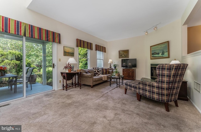 303 Knoll Way, Rocky Hill, NJ 08553 - living room featuring carpet and track lighting