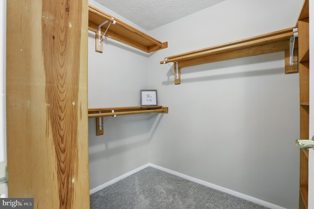 14612 Orangewood St, Silver Spring, MD 20905 - walk in closet featuring carpet flooring