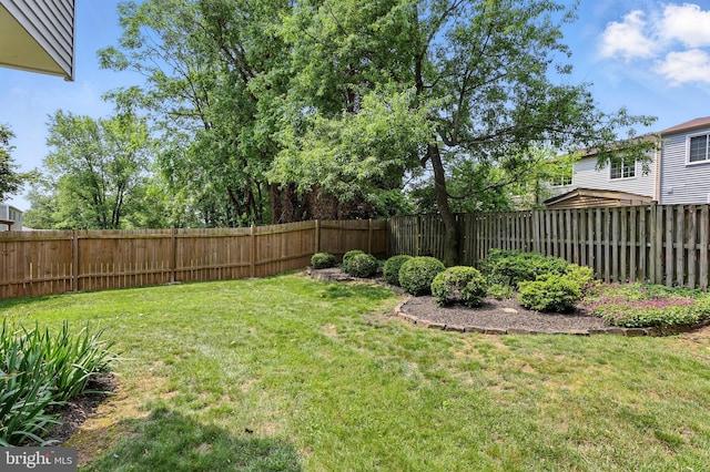 14612 Orangewood St, Silver Spring, MD 20905 - view of yard