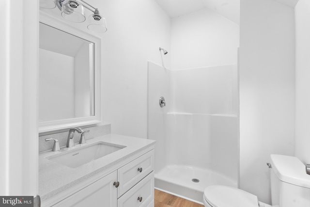 26959 Branchtown Rd, Worton, MD 21678 - full bath with toilet, a shower stall, vanity, and wood finished floors