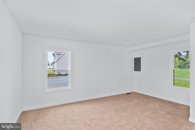 26959 Branchtown Rd, Worton, MD 21678 - spare room featuring electric panel, plenty of natural light, and light carpet