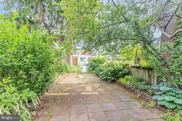 335 W Walnut St, Lancaster, PA 17603 - view of patio / terrace