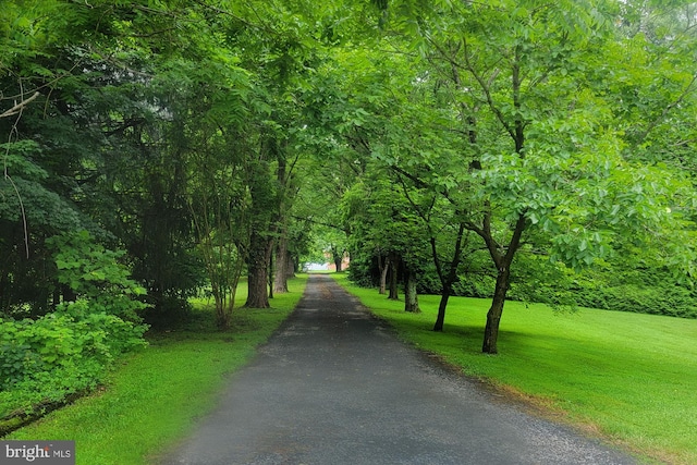4441 Solomons Island Rd, Harwood, MD 20776 - view of property's community featuring asphalt driveway and a view of trees