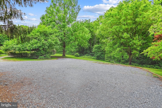4441 Solomons Island Rd, Harwood, MD 20776 - view of road