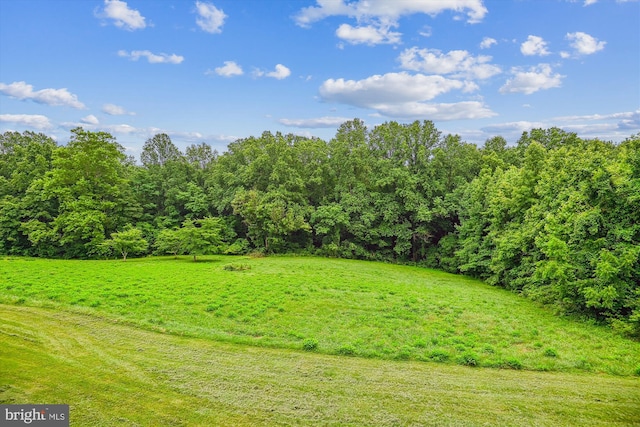 4441 Solomons Island Rd, Harwood, MD 20776 - view of yard with a forest view