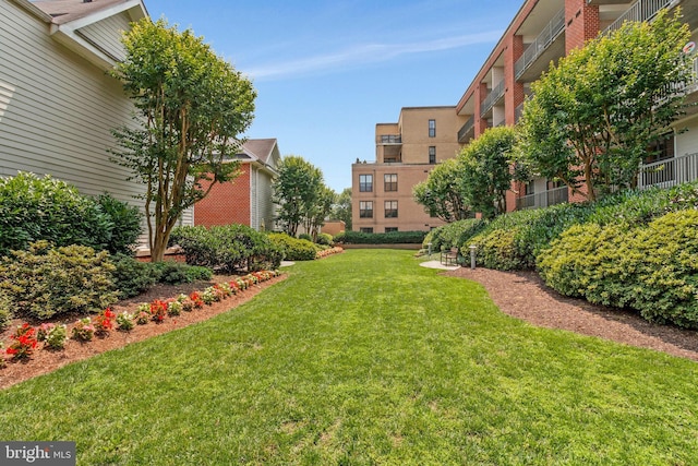 444 W Broad St Unit 401, Falls Church, VA 22046 - view of grassy yard