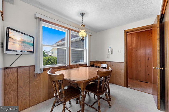 18 Old Whaling Ln, Long Beach Township, NJ 08008 - dining space with a wainscoted wall, wooden walls, carpet, and a textured ceiling