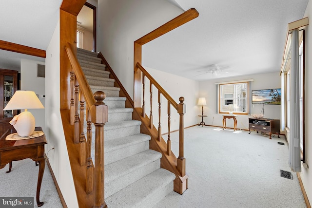 18 Old Whaling Ln, Long Beach Township, NJ 08008 - stairway with carpet flooring and ceiling fan
