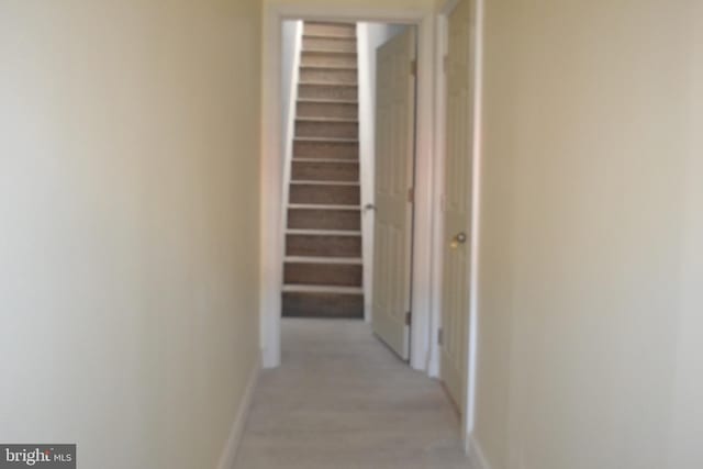 3111 E Baltimore St, Baltimore, MD 21224 - hall featuring baseboards and light wood-style flooring