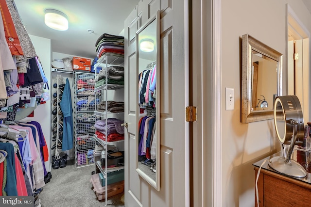 12251 Roundwood Rd Unit 301, Lutherville Timonium, MD 21093 - spacious closet with carpet flooring