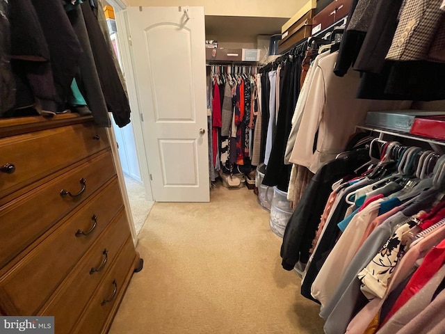 2703 Brownlee Ct, Lanham, MD 20706 - walk in closet featuring light carpet