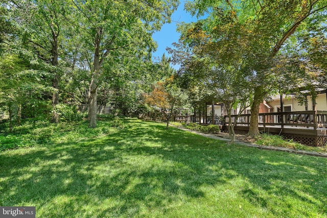 4920 Sunset Ln, Annandale, VA 22003 - view of green lawn featuring a wooden deck