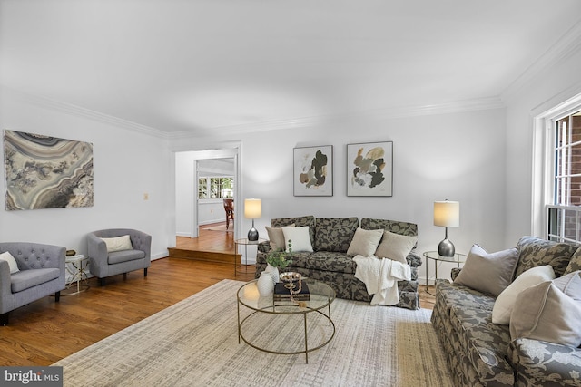 4920 Sunset Ln, Annandale, VA 22003 - living room featuring wood finished floors and crown molding