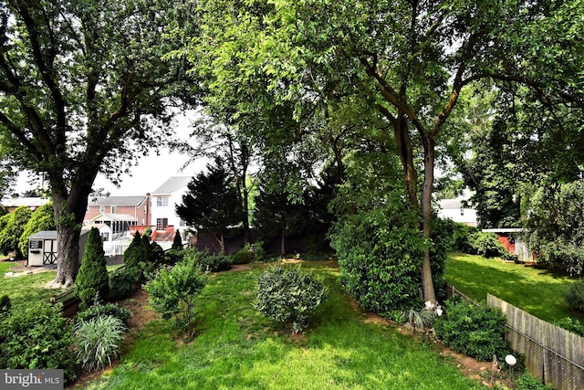 121 Shaffer Rd, King Of Prussia, PA 19406 - view of yard with a shed