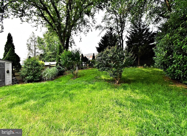 121 Shaffer Rd, King Of Prussia, PA 19406 - view of yard featuring a storage shed