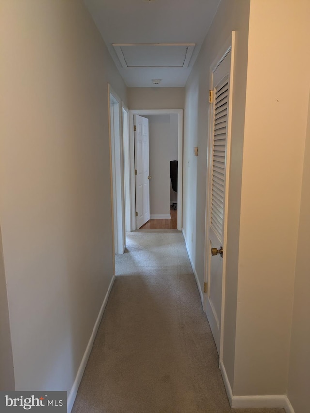 3339 Bruun Ave, Vineland, NJ 08360 - hallway featuring carpet and baseboards
