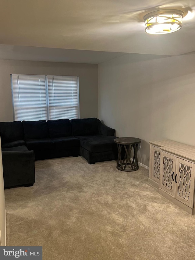 9031 Continental Pl, Landover, MD 20785 - living room with carpet flooring and baseboards