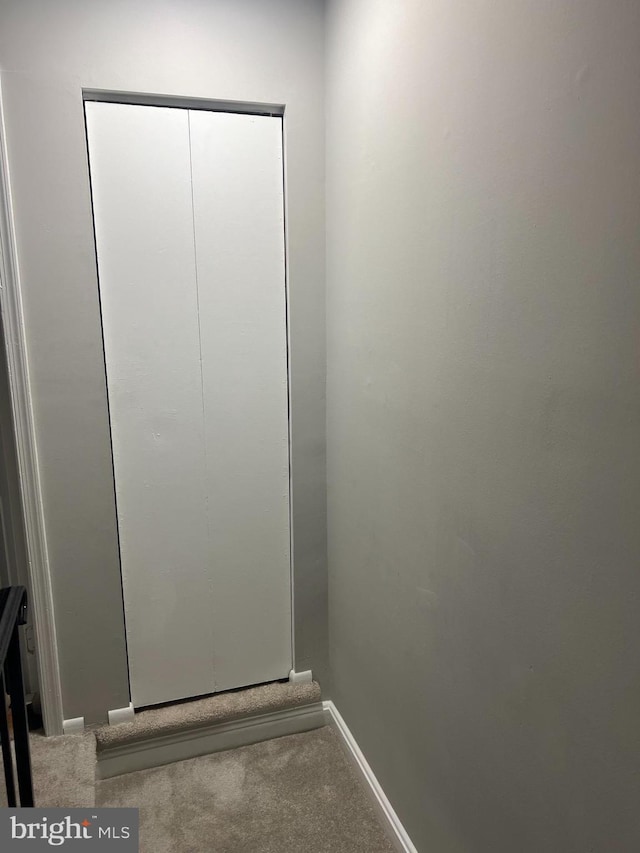 9031 Continental Pl, Landover, MD 20785 - detailed view of carpet flooring and baseboards